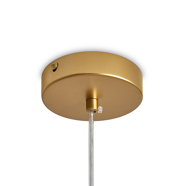Подвесной светильник Freya Modern FR5528PL-01BS