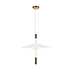 Подвесной светильник Loft IT Skylar 10244/A Brass