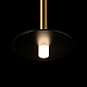 Подвесной светодиодный светильник Loft IT Reed 10358/830 Disk AB
