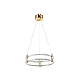 Подвесной светильник Zortes RINGER ZRS.57792.76