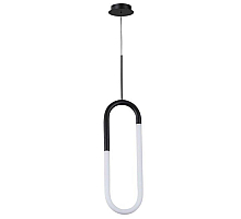 Подвесной светильник Arte Lamp Lumino A2233SP-20BK