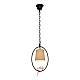 Подвесной светильник Loft IT Birds Loft1029A-1
