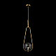 Подвесной светильник Freya Bumble FR5144PL-01TR