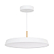 Подвесной светодиодный светильник Arlight SP-Elegant-R500-37W Warm3000 033925(1)