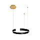Подвесной светодиодный светильник Loft IT Ring 10025/400 Black