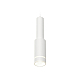 Подвесной светильник Ambrella Light Techno Spot XP8161002 (A2301, C6355, A2101, C8161, N8444)