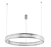 Подвесной светодиодный светильник Divinare Renata 1135/02 SP-48
