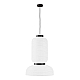 Подвесной светильник Evoluce Lykke SLE6021-503-02