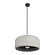 Подвесной светильник Loft IT Stone 10252/500 Grey