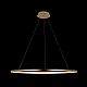 Подвесной светодиодный светильник Loft IT Ring 10014XL