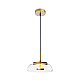 Подвесной светодиодный светильник Loft IT Disk 8210-P
