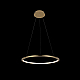 Подвесной светодиодный светильник Loft IT Ring 10014M