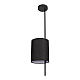 Подвесной светильник Loft IT Ritz 10253P Black