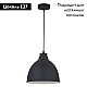 Подвесной светильник Arte Lamp Casato A2055SP-1BK