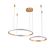 Подвесной светильник Zortes RINGOLIGHT ZRS.33320.63F
