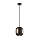 Подвесной светильник Odeon Light COCOON 5060/1DA