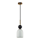 Подвесной светильник Odeon Light Lolla Midcent 4361/1B