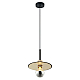 Подвесной светильник Lussole Loft LSP-8488