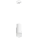 Подвесной светильник Lightstar Rullo RP43631 (214436+590056+202431)