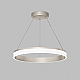 Подвесной светильник DENKIRS RING DK6671-SN