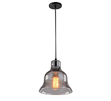 Подвесной светильник Arte Lamp Amiata A4255SP-1SM