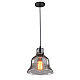 Подвесной светильник Arte Lamp Amiata A4255SP-1SM