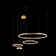 Подвесной светодиодный светильник Loft IT Ring 10017/4L