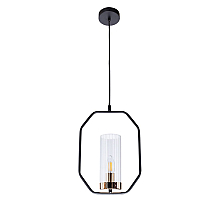 Подвесной светильник Arte Lamp Celaeno A7004SP-1BK
