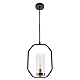 Подвесной светильник Arte Lamp Celaeno A7004SP-1BK