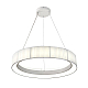 Подвесной светильник Indigo Luminosa 13041/C/1P White V000210L
