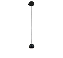 Подвесной светильник DeLight Collection MD21001034-1A black/gold