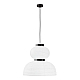 Подвесной светильник Evoluce Lykke SLE6021-523-02