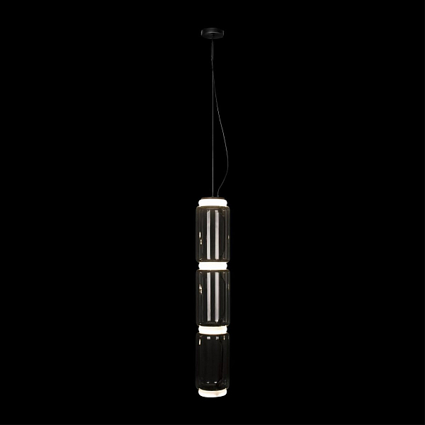 Подвесной светодиодный светильник Loft IT Noctambule 10194/L