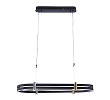 Подвесная люстра Zortes Duble-R ZRS.30505.92