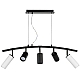 Подвесной светильник Lightstar Rullo LR735862373 (571735+214437-3+214486-2)