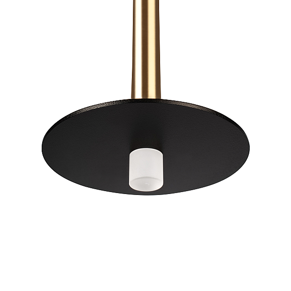 Подвесной светодиодный светильник Loft IT Reed 10358/830 Disk AB
