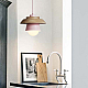 Подвесной светильник ImperiumLoft Eco 178163-26