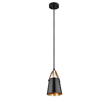 Подвесной светильник Arte Lamp Thomas A7032SP-1BK