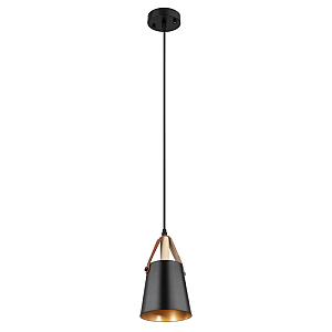 Подвесной светильник Arte Lamp Thomas A7032SP-1BK