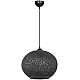 Подвесной светильник Toplight Lizbeth TL1612H-01BK