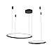 Подвесной светильник Zortes RINGOLIGHT ZRS.33321.63F