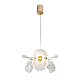 Подвесная светильник Modelight MDL.89092.350HC GD