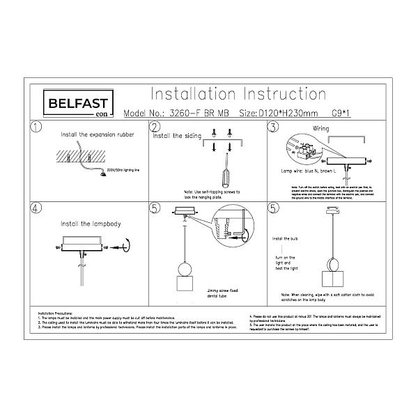 Подвесной светильник Belfast Ravenhill 3260-F BR MB