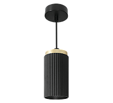 Подвесной светильник WOLTA Muse WSL-GX53/P19BG-2