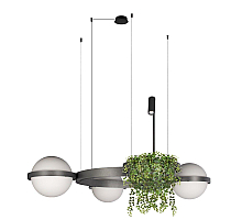 Подвесная люстра Loft IT Jardin 10121/3 Dark grey