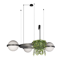 Подвесная люстра Loft IT Jardin 10121/3 Dark grey