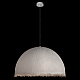 Подвесной светильник Loft IT Plancton 10372/800