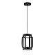 Подвесной светильник Indigo Capsula 14027/2P Black V000155L