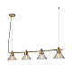 Подвесная люстра Lumion Moderni Corne 6596/4A