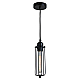 Подвесной светильник Lussole Loft VI LSP-9608